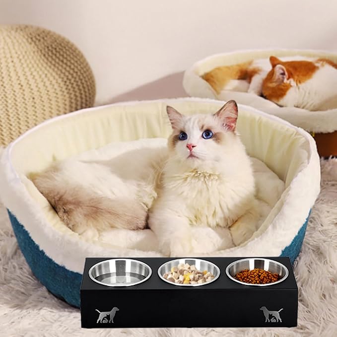 Upgraded Elevated Cat Food Bowl, 15° Tilt Stand Anti-Vomit Elevated Cat Food Bowl,3 Stainless Steel for Feeding and Drinking Pet Feeding Bowls, Pet Feeder for Cats and Puppies.