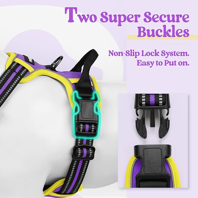 rabbitgoo Dog Harness No Pull with 2 Leash Clips, Adjustable Soft Padded, Reflective Oxford No Choke Pet Vest with Easy Control Handle for Small Dogs, Purple & Yellow, S