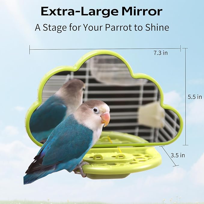 Bird Mirror with Perch & Slow Feeder – Interactive Bird Toy, Birds Cage Accessories for Parakeet, Budgies, Cockatiels, Conures, Lovebird, Finches & Canary – Relieve Boredom-Green
