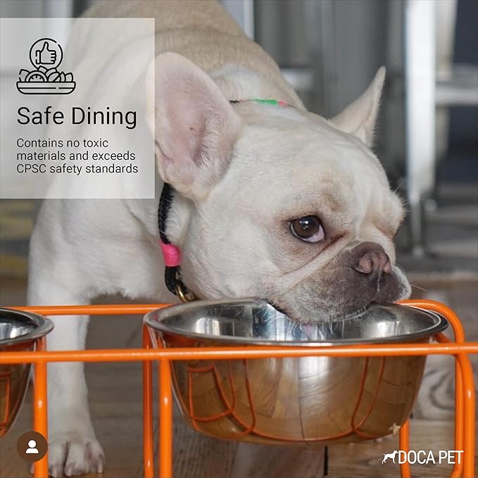 Wire & Dine Elevated Dog Bowls Stand for Small & Medium Sized Dogs & Cats - 2 Stainless Steel 3 Cup Dishes - Non-Skid, Modern Minimalist Design, Dishwasher Safe, Orange Frame - Made in USA