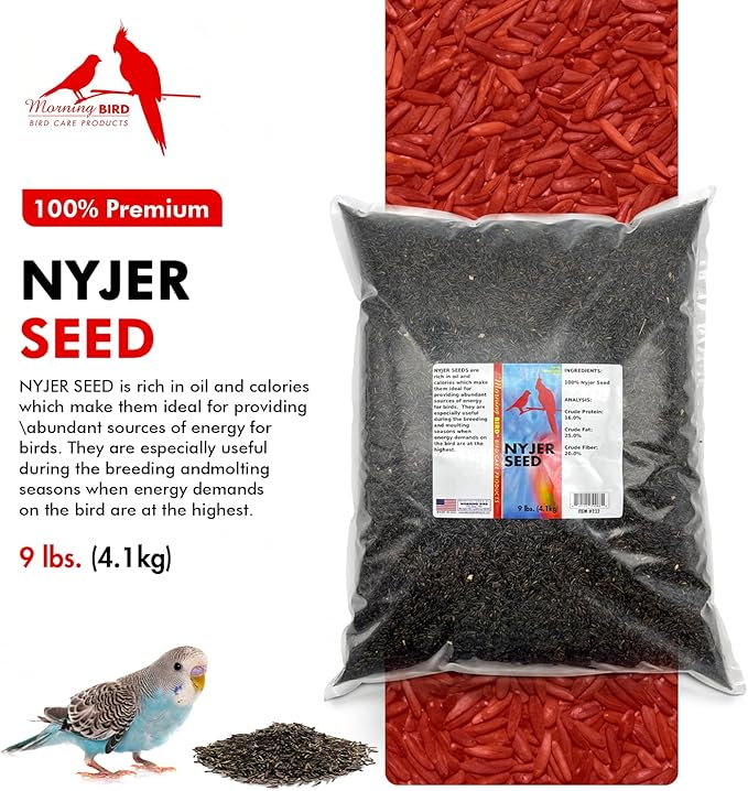 Morning Bird Nyjer Seed for Birds 9 lbs – Energizing Nutrition with Rich in Vitamins and Supplements – Ideal Bird Food for Breeding & Molting – Nyjer & Finch Seed for All Birds