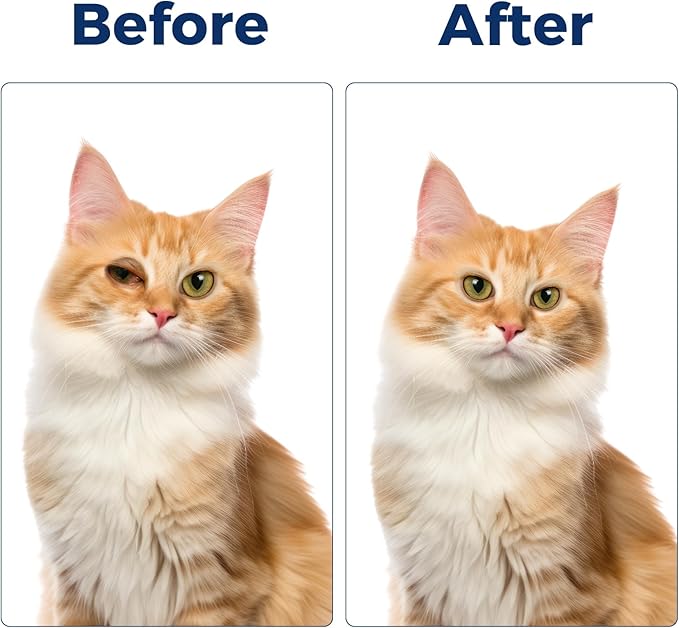 Pet Eye Cream, Tube Eye Cream Suitable for Dog, Cat, Cattle, Horse, Sheep, Squirrel, Bird Fit for All Pets (3.5gr/1 Per Tube) 1 Pack