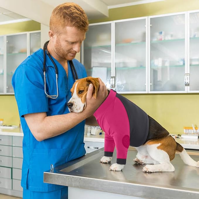LeLePet Dog Recovery Suit for Front Legs, Dog Sleeve to Stop Licking, Elbow Protector for Leg Injuries Shoulder Wounds After Surgery Male Female,Zippered Long-Sleeved Shirt Cone Alternative(S-3XL)