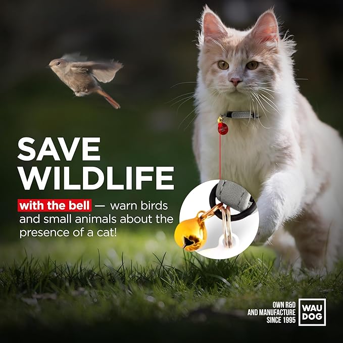 Leather Cat Collar with Bell and Safety Elastic Strap Breakaway Alternative for Small & Large Kittens, Stylish Pet Leather Collar for Boy, Girl Cats with Metal Buckle & QR ID Tag (Gray)