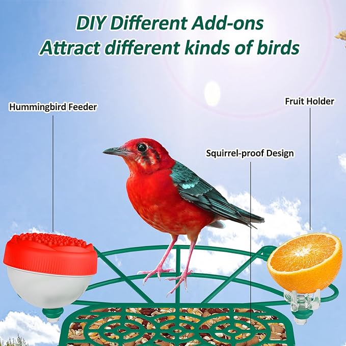 Bird Feeder with Camera, 2K Birds Camera with 3-in-1 Feeding, Drinking, and Bathing | AI Identify, Real-Time Monitoring and Alerts | IP65 and Squirrel-Proof for Outdoors, Gift for Bird Lovers