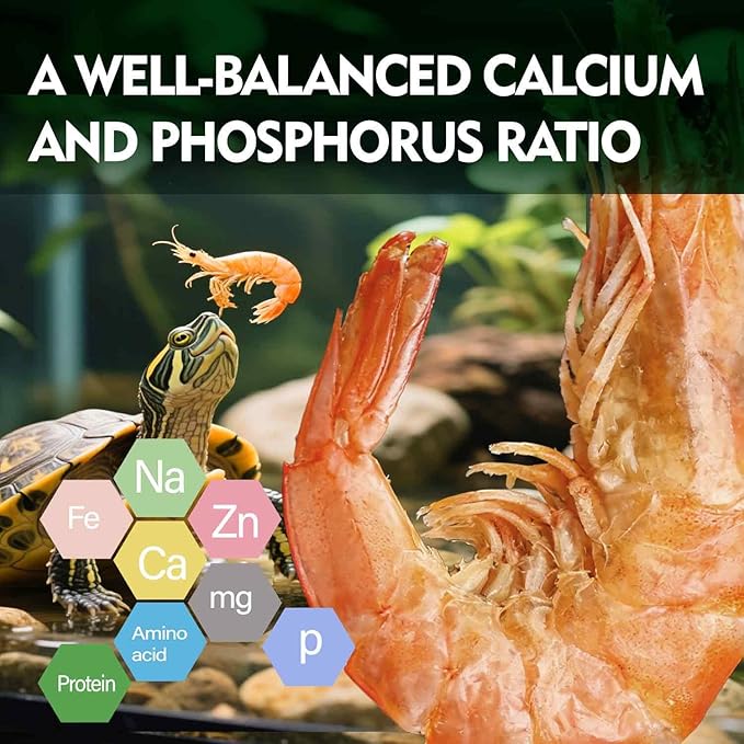 Freeze-Dried River Shrimp – Premium Turtle Food, Reptile & Bird Treat – High-Protein Shrimp for Turtles, Aquatic Pets, Tropical Fish, 1.5 oz