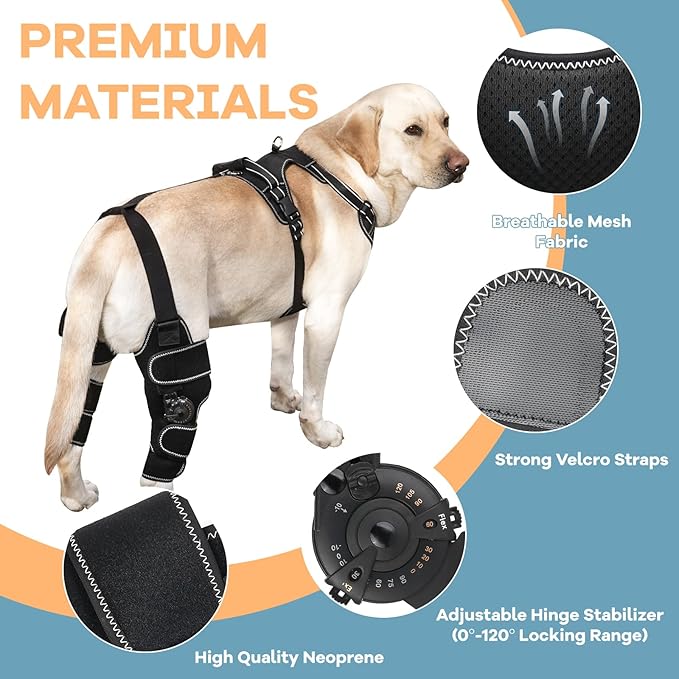 Dog Knee Brace with Adjustable Support – ACL & CCL Tear Recovery, Post-Surgery Stabilization, Mobility Aid for Rear Legs – Includes Secure Chest Harness for Dogs(Both Legs,M)