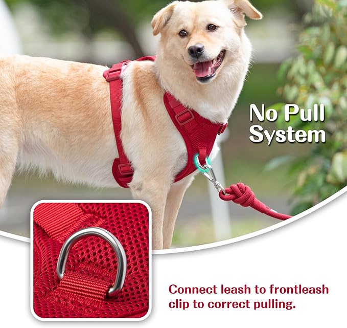 No Pull Dog Harness for Small Medium Large Dogs - Adjustable Two-Layer Mesh Dog Vest with Dual Clip, Escape Proof, Quick Release, Lightweight Breathable Mesh for Walking Hiking (Burgundy Red,L)