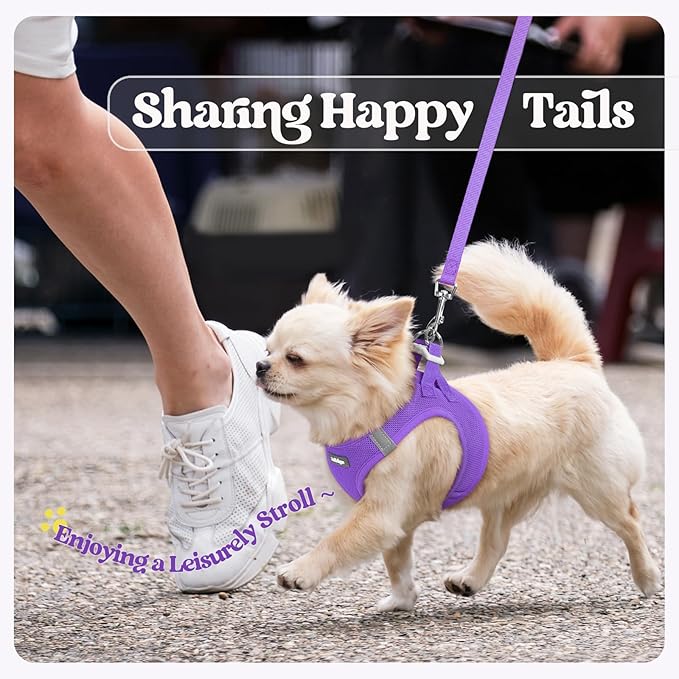 rabbitgoo Dog Harness Small Sized and Leash Set, Step in Soft Light Puppy Vest, Breathable Mesh Pet Harness, Reflective for Outdoor Safe Walking, Purple XXXS