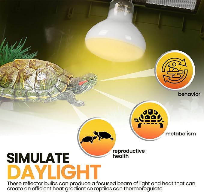 CALPALMY (4-Pack 100W Reptile Heat Lamp Bulbs - UVA Daylight Basking Light Bulbs for Reptiles, Turtles, Lizard, Bearded Dragon and Amphibians - 120V R80 Reflector Bulbs with E26 Screw Cap Base