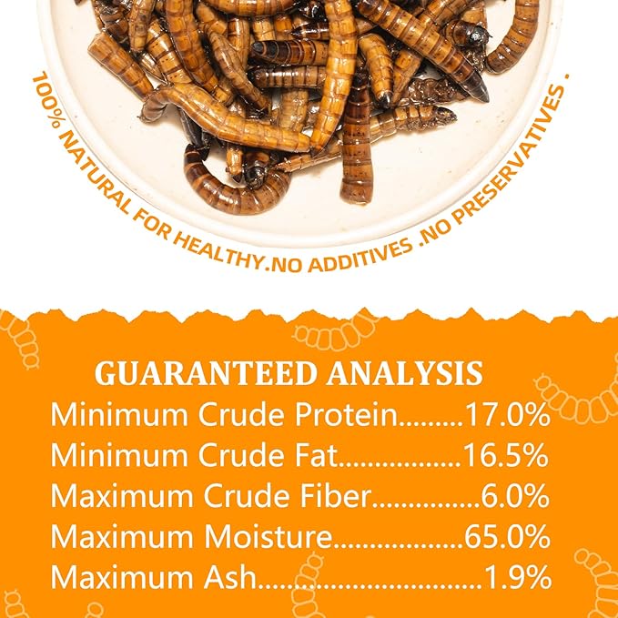 6 Pack Canned Superworms for Reptiles, Fish, Birds and Small Animals, Super Worms, Healthy High Protein Treat for Reptile Bird Fish Food 7.2 Ounces Total