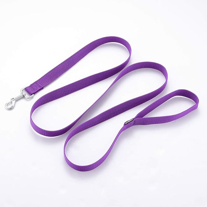 Strong Durable Nylon 10ft Long Dog Training Leash, Traction Rope, 1 Inch Wide, for Small and Medium Dog (Purple, 10 Feet)