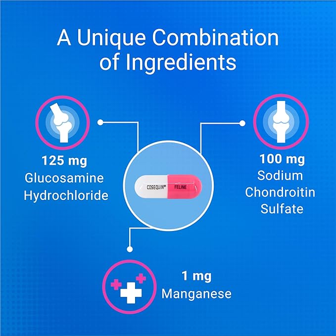 Nutramax Laboratories Cosequin 30 ct Sprinkle Capsules for Cats, 30-count