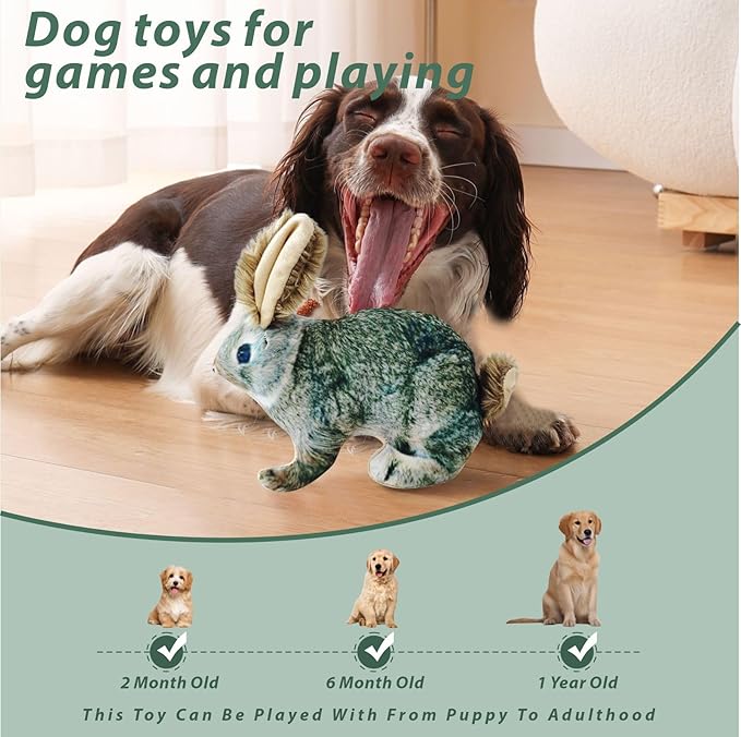 Dog Toy Rabbit Squeak,Attractive Squeaking Sound is Suitable for Dogs to Interact and Play on Outdoor Grass, Suitable for Small and Medium-Sized Dogs, Cute Plush Rabbits (Green)