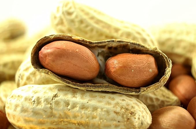 Wakefield Extra Large Virginia Peanuts for Animals, 25 LBS