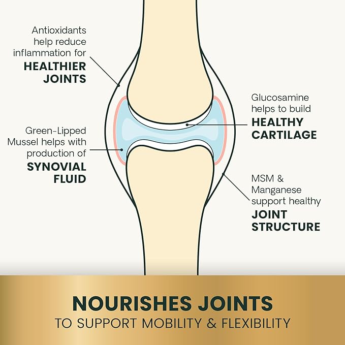 VetriScience Ultimate Strength Healthy Hip & Joint Chewable Tablets, GlycoFlex Glucosamine, Chondroitin and Green-Lipped Mussel Joint Supplement for Dogs, Soothe Joint Discomfort, Chicken, 120 Count
