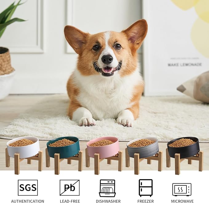 Elevated/Raised 15°Tilted Anti Slip Ceramic Dog Bowl for Medium & Large Breeds,Slanted Bulldog Big Face Pet Food Water Feeding Dish with Stand (7.6 Cups/60OZ) Grey White