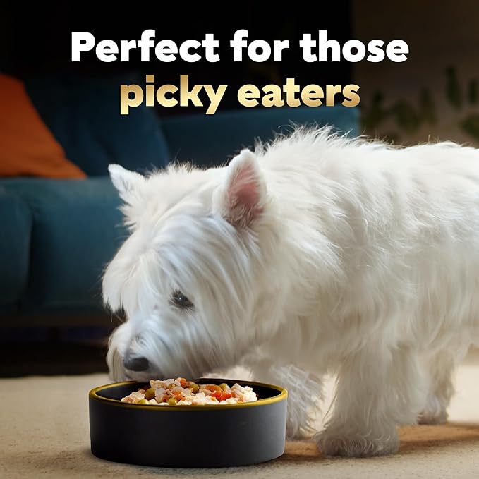 Cesar Simply Crafted Adult Wet Dog Food Meal Topper, Chicken, Sweet Potato, Apple, Barley & Spinach, 1.3oz. (10 Count, Pack of 1)