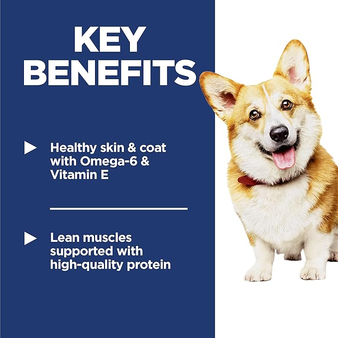 Hill's Science Diet Adult 1-6, Adult 1-6 Premium Nutrition, Small Kibble, Dry Dog Food, Chicken & Barley, 5 lb Bag