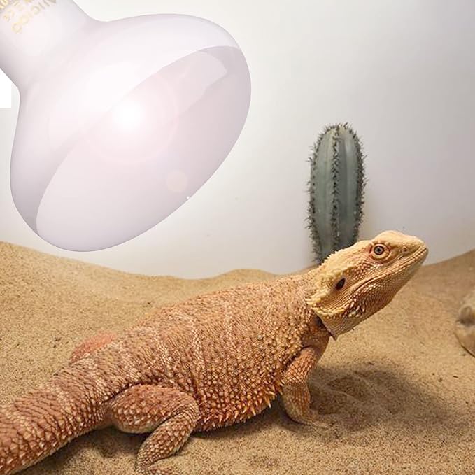 Aiicioo Reptile Basking Light Bulb - 100W Reptile Heat Lamp 2 Pack UVA Daylight Amphibians Basking Bulb for Bearded Dragon Turtle Hermit Crab Gecko Lizard Daylight