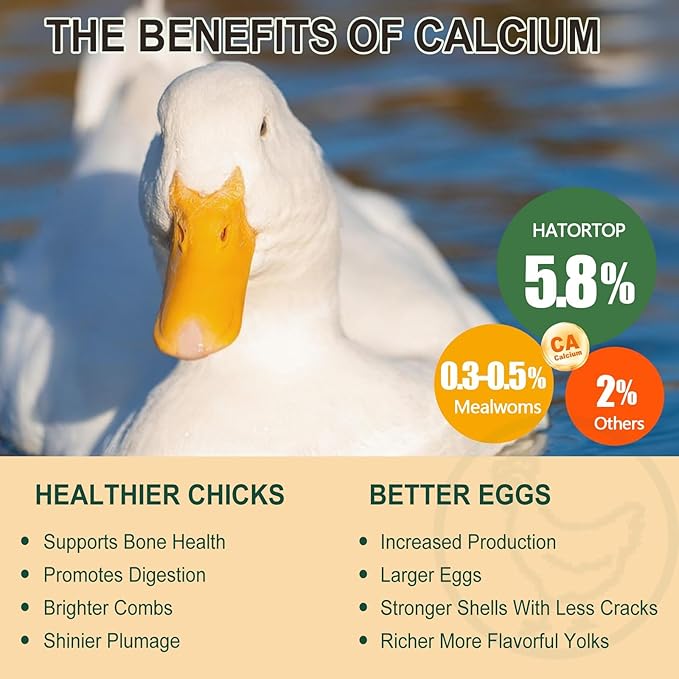 10LB Dried Black Soldier Fly Larvae for Chickens - Non-GMO Insect Larvae Treats More Calcium Than Mealworms, High Protein Chicken Feed for Backyard Poultry - BSFL, Bird Food, Chicken Worms