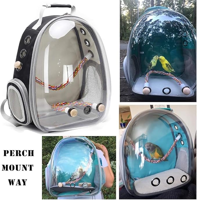 Bird Travel Backpack Carrier, Clear Bubble Window Transport Backpack for Birds, Space Capsule Astronaut Liked Vet Carry School Bag for Parakeet Parrot (M-GRN, Clear Bubble)