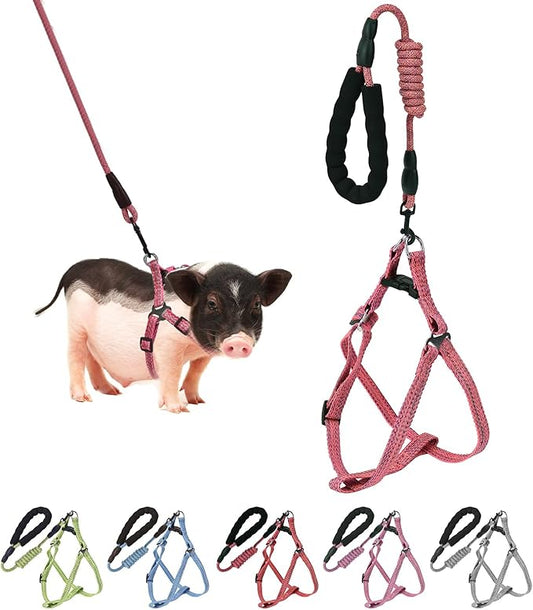 Mini Pig Harness, Adjustable Small Pig Harness with Leash Infinity Style Lead and Soft Foam Handle for Small to Medium Pet Pigs Walking Training Jogging (Red, L)