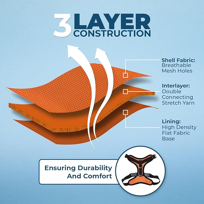 Voyager Step-in Lock Adjustable Cat Harness w. Cat Leash Combo Set with Neoprene Handle 5ft - Supports Small, Medium and Large Breed Cats by Best Pet Supplies - Orange/Black Trim, XS