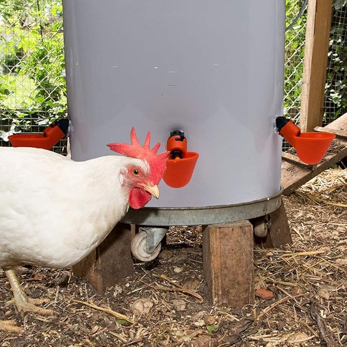 DoubleWood Fully Automatic Poultry Drinking Machine Chicken Drinking Cup, Chicken Drinking Watering Cups/Poultry Drinking Machine (24)