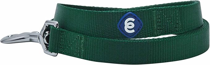 Blueberry Pet Essentials Verdant Green Dog Leash for Small -5' * 5/8" Dogs | Heavy Duty Nylon Lead | Lightweight Puppy & Cat Leash for Walking & Training