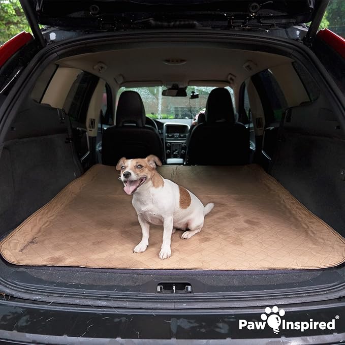 Paw Inspired Washable Pee Pads for Dogs, Leakproof, Non-Slip Reusable Puppy Pads for Potty Training, Whelping, Waterproof Mat (48x60 Inch, Pack of 1)