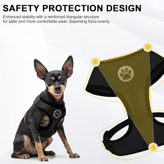 BINGPET Small Dog Harness - Breathable Mesh Puppy Cat Harnesses - No Pull Adjustable Dog Harness Dog Vest Harness for Small and Medium Dogs