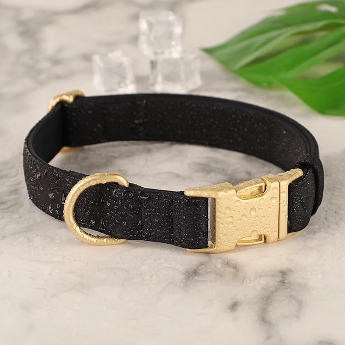 Didog Soft Padded Dog Collars for Small Dogs, Colorful and Durable Dog Collar with Quick Release Buckle, Light and Breathable for Daily Walking, Black, S