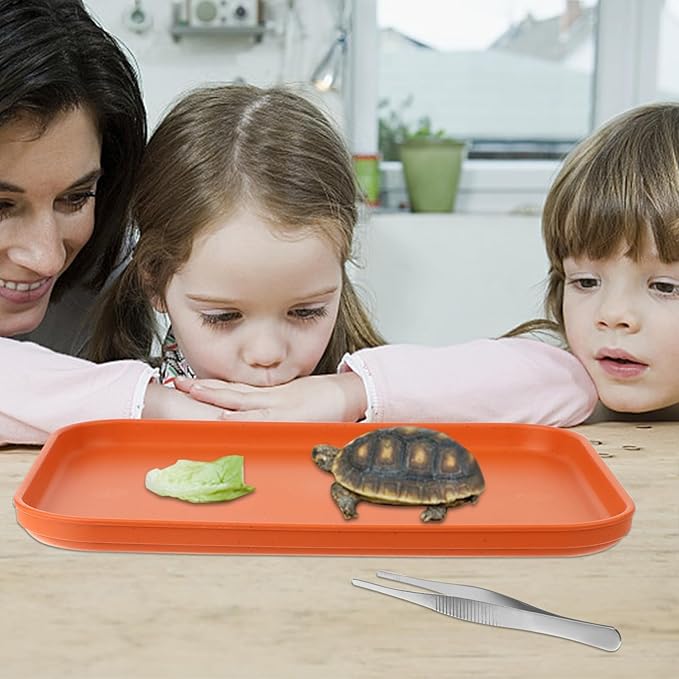 2 Pieces Reptile Food Water Dish, Reptile Feeding Bowl, Tortoise Feeding Dish, Plastic Pets Feeding Plate with 1Pcs Forcep, Crawl Pet Basking Platform for Turtle Lizard Bearded Dragon Gecko Snake