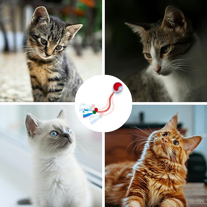 Interactive cat Toy cat Toys for Indoor Cats Agile Moving Cat Ball with Elastic Mesh Tail Automatic Kitten Toys Motion Activated Ball (Red)