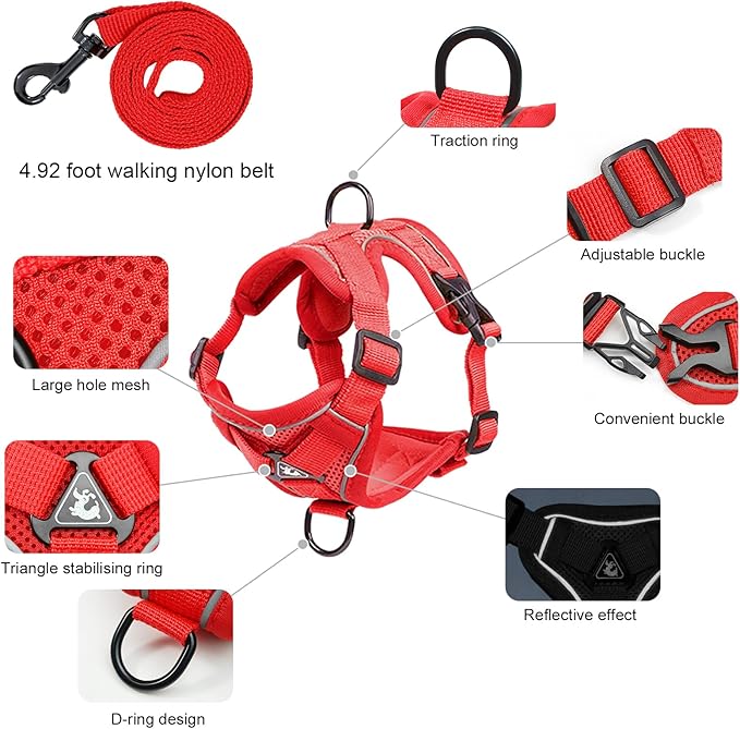 Escape Proof Kitten Harness and Leash Set - Adjustable Soft Mesh Vest for Small Cats, Reflective Breathable Walking Harness with 4 Buckles