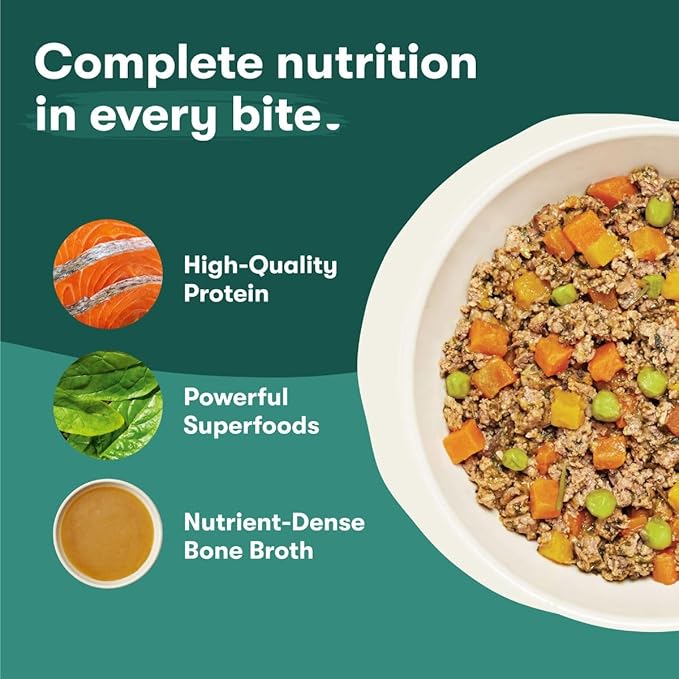 Jinx Salmon Wet Dog Food Topper, Mix with Dry Dog Food, Made with Real Salmon & Chicken, Bone Broth, No Fillers, Puppy, Adult, Senior, 9oz, 12 Pack