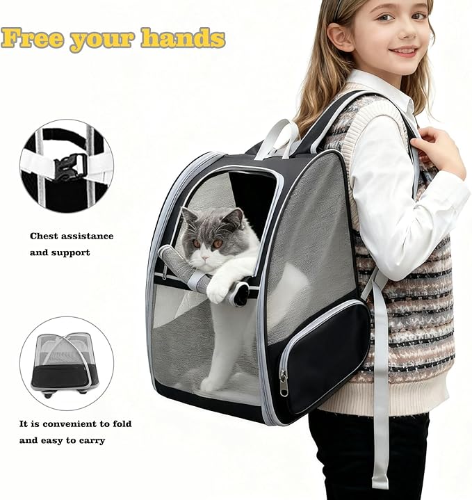 Cat Carrier Backpack, Dog Backpack, Ventilate Pet Cats Puppy Dogs Birds Bunny Backpack for Travel Indoor Outdoor Use(Black)