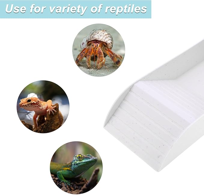 Tortoise Food Dish with Ramp, Plastic Reptile Water Bowl, Tortoise Water Pool, Reptile Climbing Ramp for Turtles Lizards, 13.98"x7.87"x2.36", White