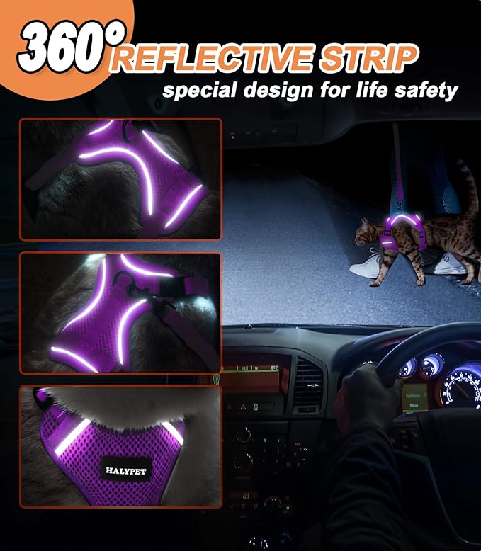 Halypet Cat Harness and Leash Set [ MAX Safety Third Generation ] Escape Proof Soft Adjustable Cat Leash Breathable Comfortable Vest Easy to Wear Kitten Harness for Outdoor Walking Purple Small
