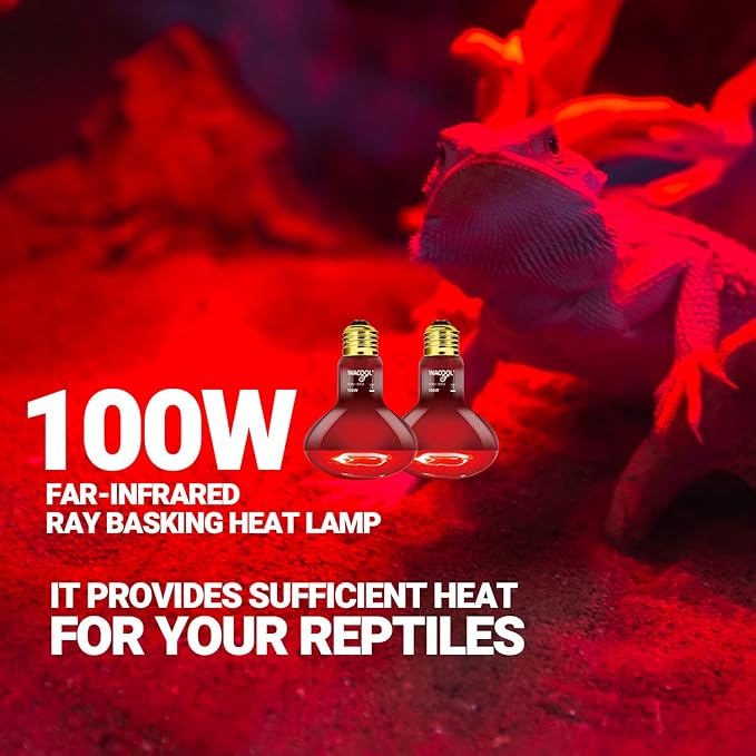 WACOOL 4 Pack Reptile Heat Lamp Bulbs,100W Infrared Basking Spot Light for Reptiles & Amphibians, Red Heat Lamp Bulb for Bearded Dragon Gecko Turtle Lizard (75, Watts)…