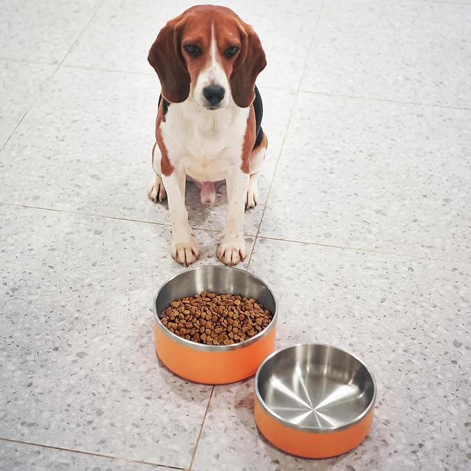 LIHONG Stainless Steel Dog Bowls for Small Meidum Sized Dogs,Dog Food Water Bowls No Slip,Dishwasher Safe(40oz,Orange)