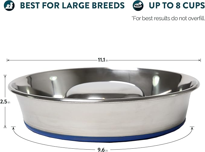 OurPet's Durapet Slow Feed Premium Stainless Steel Dog Bowl, Silver, Large (2040010302)