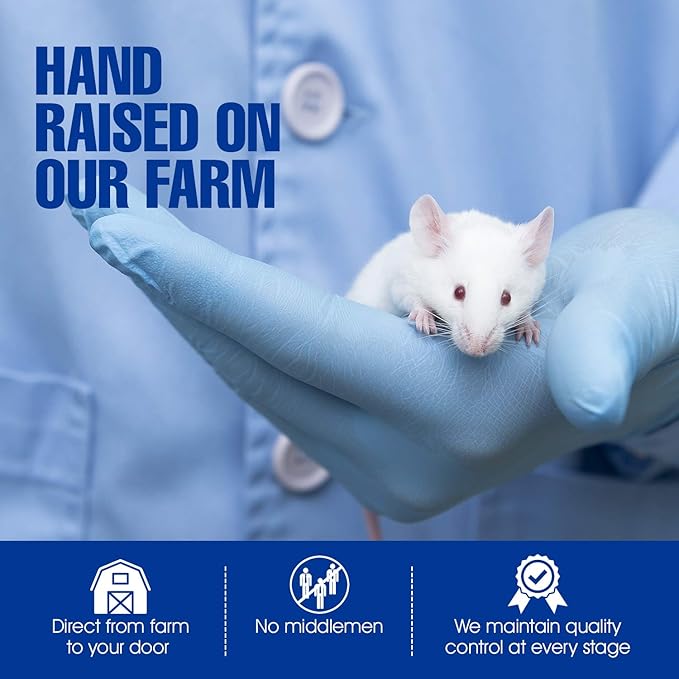 MiceDirect Frozen Mice Combo Pack of 30 Pinkies & Small Fuzzies Feeder Mice – 15 Pinkies & 15 Small Fuzzies - Food for Corn Snakes, Ball Pythons, & Pet Reptiles - Snake Feed Supplies