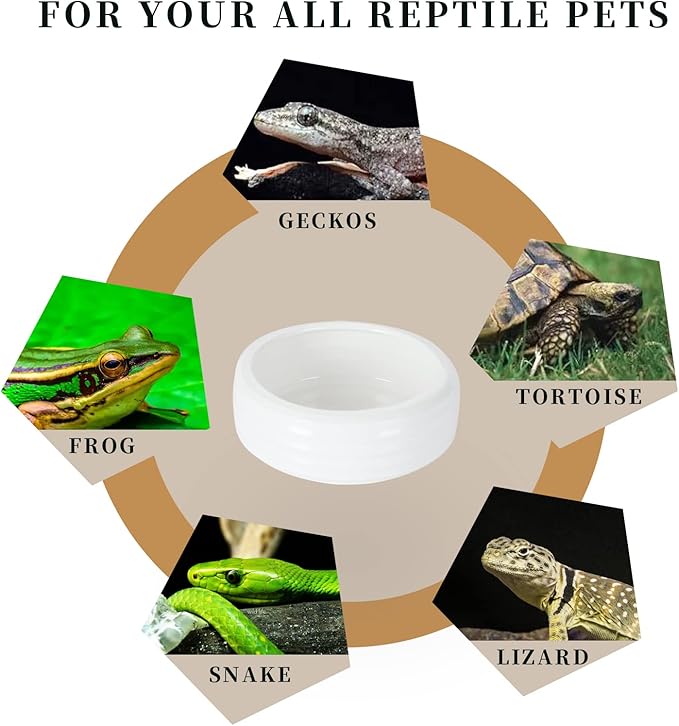 Reptile Food Bowls Ceramic Mini Round Reptile Water Food Dish, Pet Food Bowl for Lizards, Small Snakes, Young Bearded Dragons, Gecko Tortoise Spider (White, Small-2Pack)