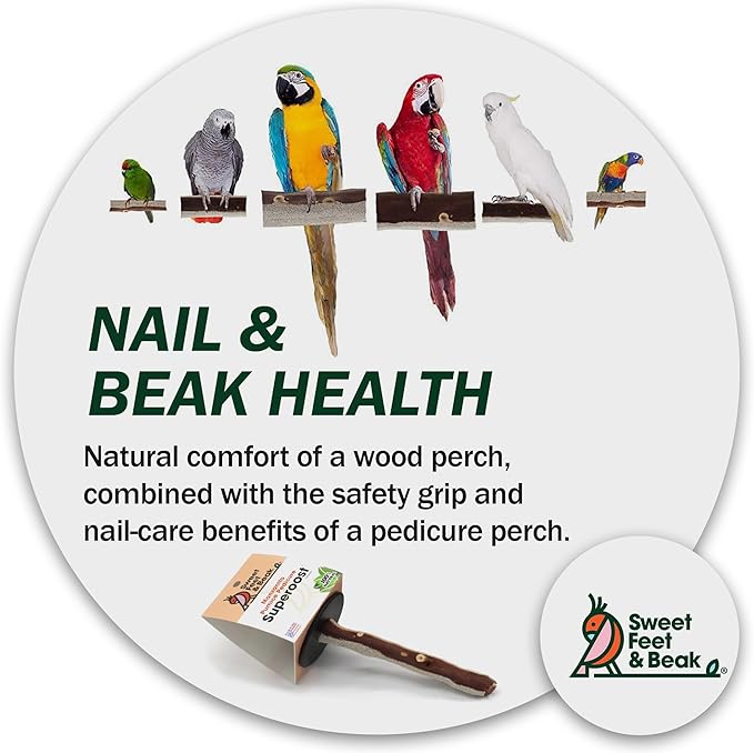 Superoost Manzanita Pumice Pedicure Perch- Easy to Install Bird Cage Accessories for Healthy Feet, Nails and Beak - Natural Bird Perches Imitates Birds' Life in The Wild - XS 8"