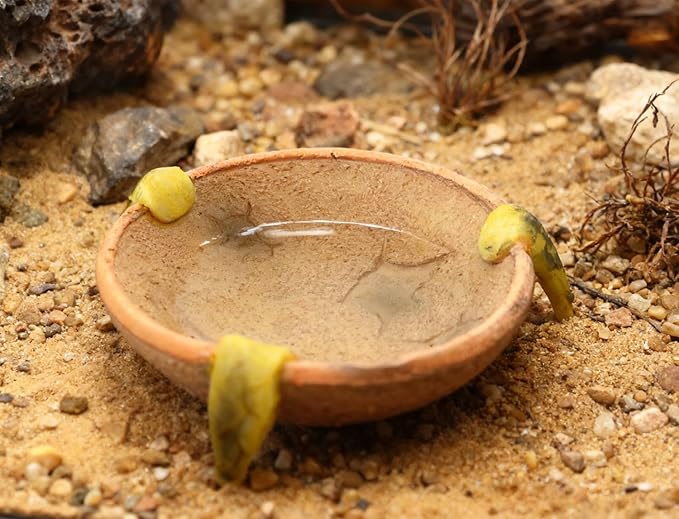 Food/Water Dish for Reptiles, Amphibians and Other Little Critters Water/Food Bowl, Made from Premium Resinl, Reptile Feeding Bowls for Bearded Dragon Lizard,Hermit Crab,Gecko,Tortoise,Frog