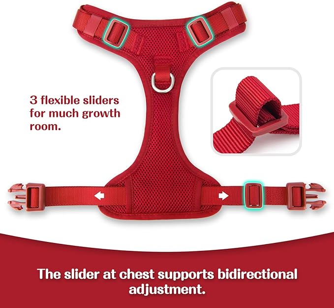 No Pull Dog Harness for Small Medium Large Dogs - Adjustable Two-Layer Mesh Dog Vest with Dual Clip, Escape Proof, Quick Release, Lightweight Breathable Mesh for Walking Hiking (Burgundy Red,S)