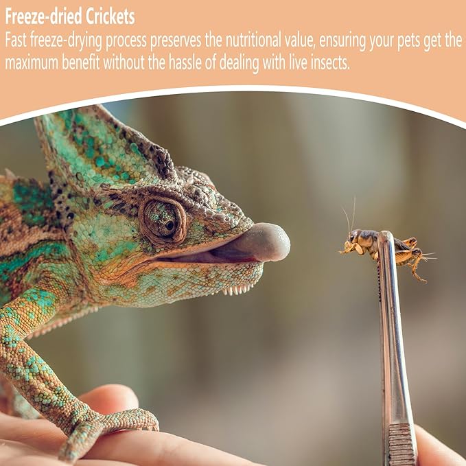 Freeze Dried Crickets – 4.5 Oz High Protein Freeze Dried Crickets, Food for Reptiles, Bearded Dragons, Lizards, Geckos, Birds, Fish,Hedgehogs, Bearded Dragon Food