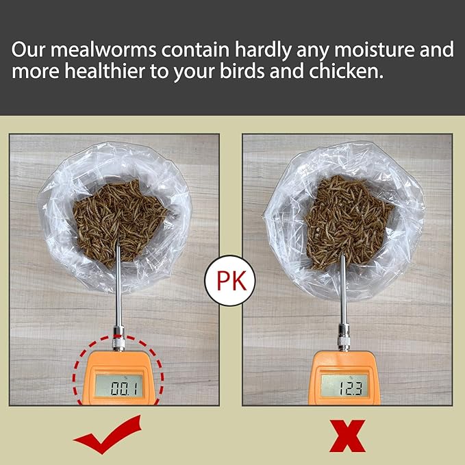 Non-GMO Dried Mealworms,2LB 100% Natural Large Size No Moisture,Treats for Birds Chickens Hedgehog Hamster Fish Reptile Turtles
